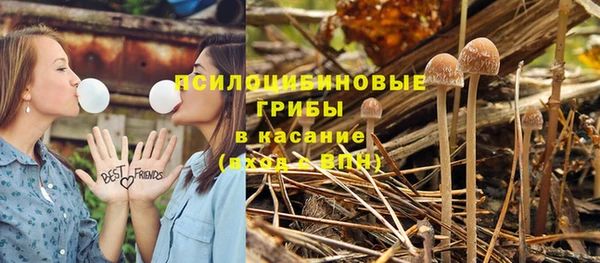 стаф Алексеевка