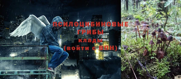 круглые Алзамай