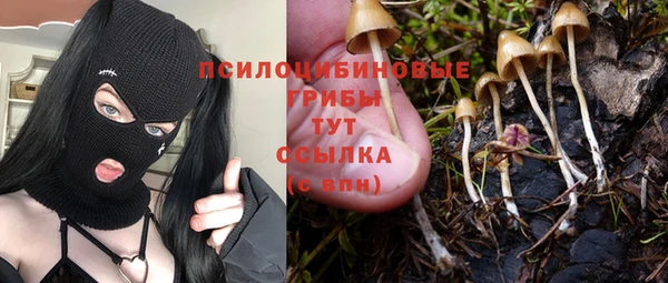 ПСИЛОЦИБИНОВЫЕ ГРИБЫ Алексин