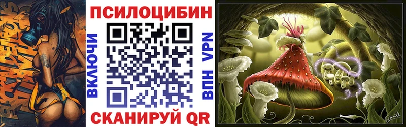 OMG зеркало  Изобильный  Галлюциногенные грибы мицелий 